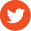 twitter icon